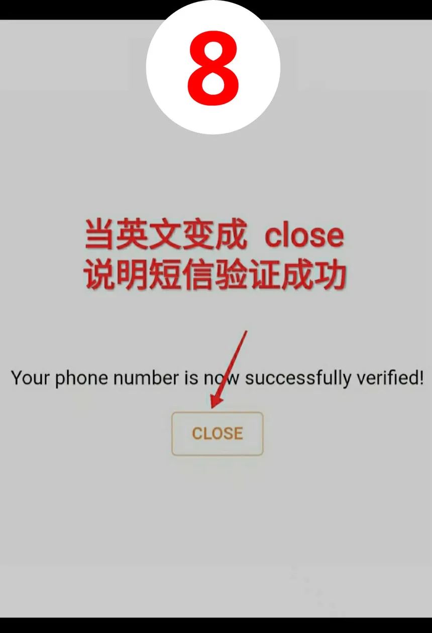 pi network教程全攻略-第18张图片-淘金一家人博客